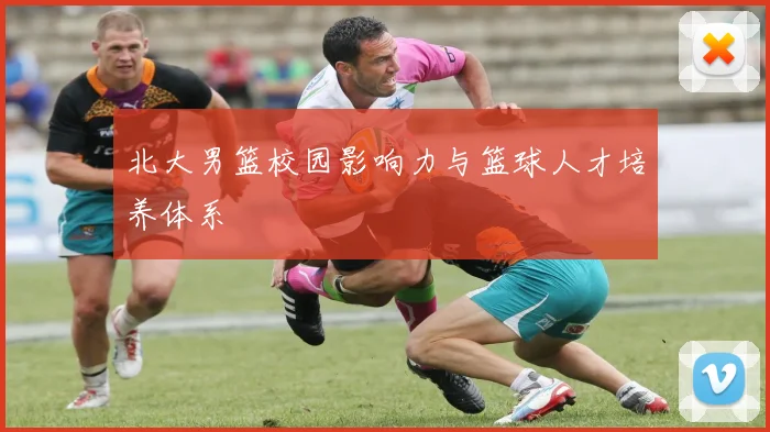 北大男篮校园影响力与篮球人才培养体系